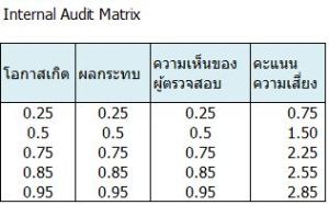 internal audit matrix